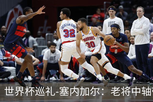 世界杯巡礼-塞内加尔：老将中轴带来安全感，非洲顶流前景可期！
